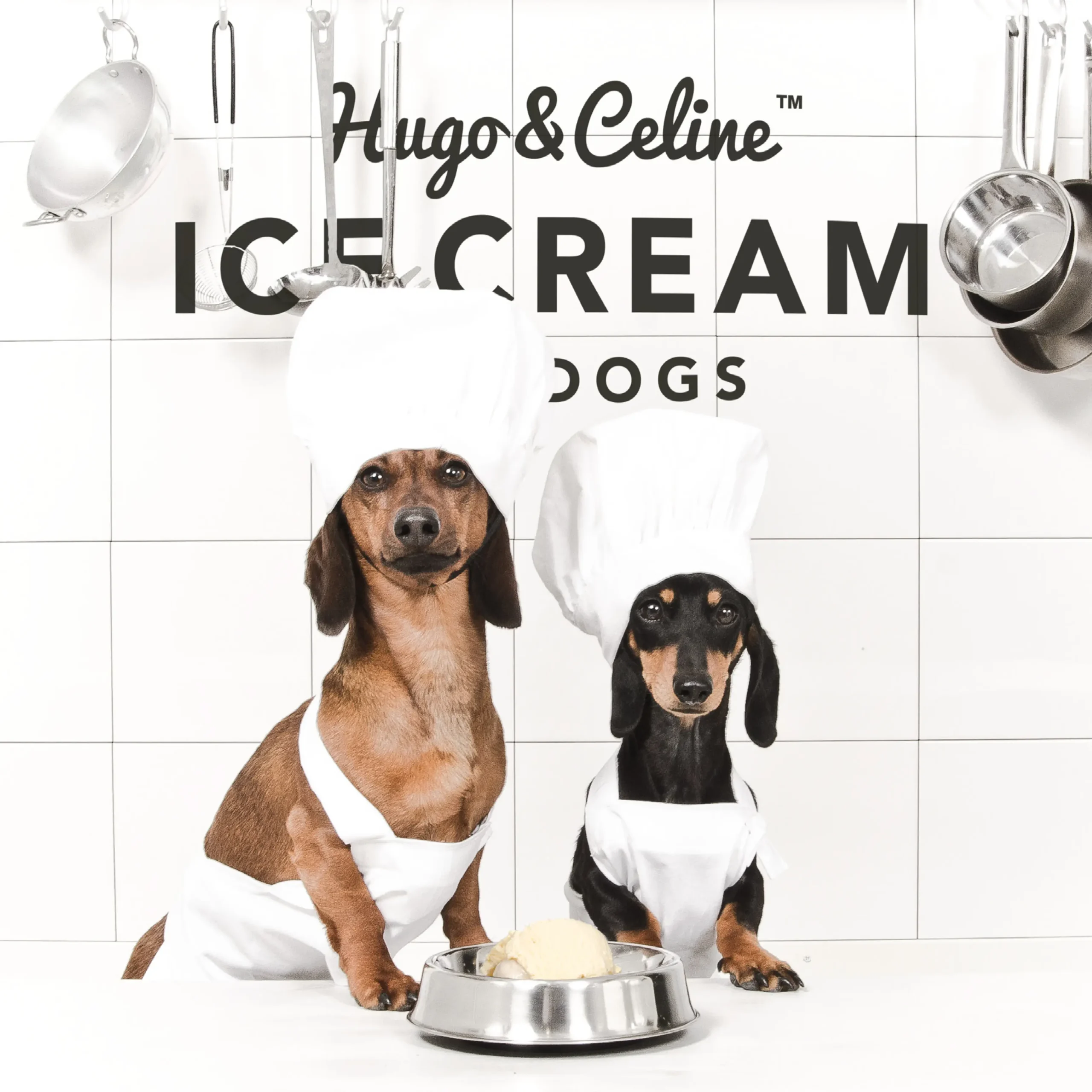hugo--Celine
